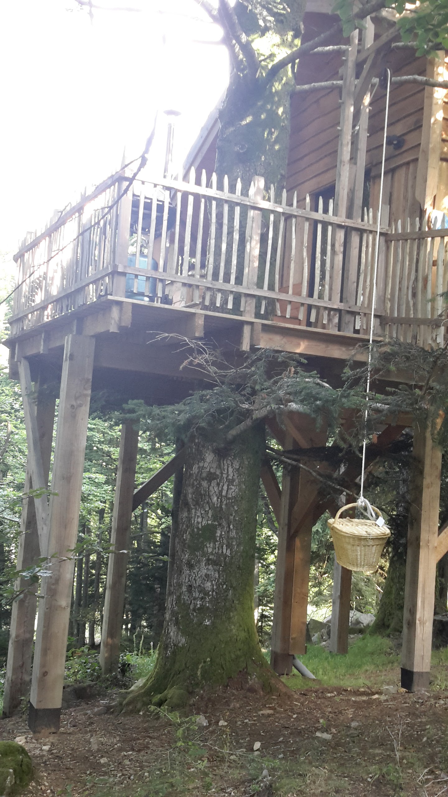 Photo n° 6 de l'avis de Philippe. fait le 20/07/2017 à 20:47