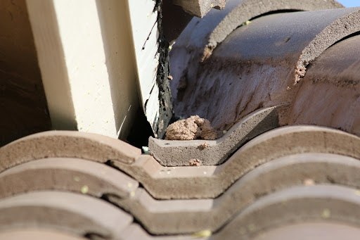 Roofing Contractor «Latite Roofing and Sheet Metal», reviews and photos, 2280 W Copans Rd, Pompano Beach, FL 33069, USA