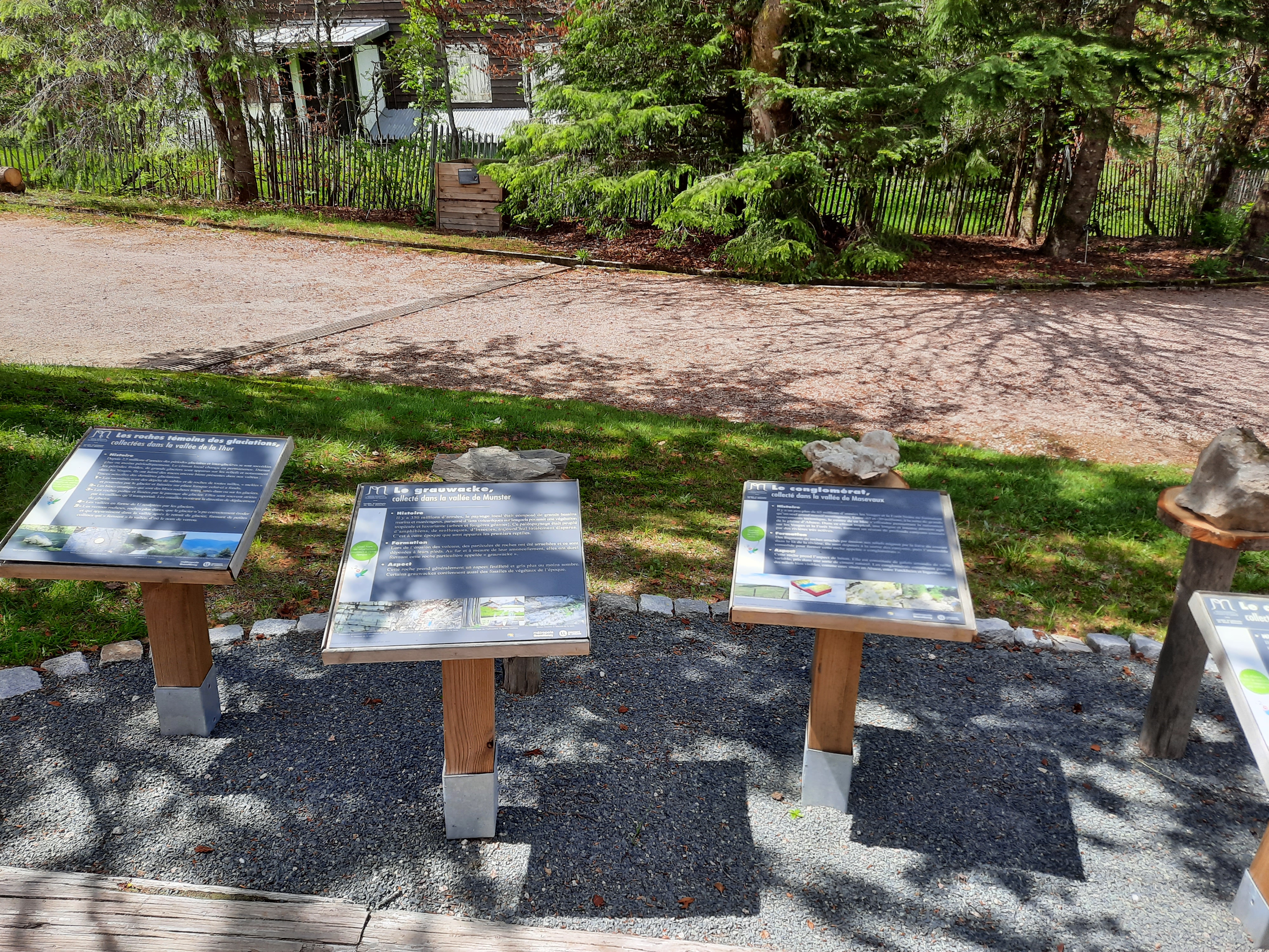 Photo n° 17 de l'avis de Victoria.e fait le 22/06/2020 à 21:37