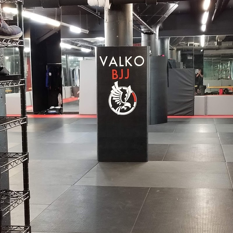 Valko Brazilian Jiu-Jitsu Academy