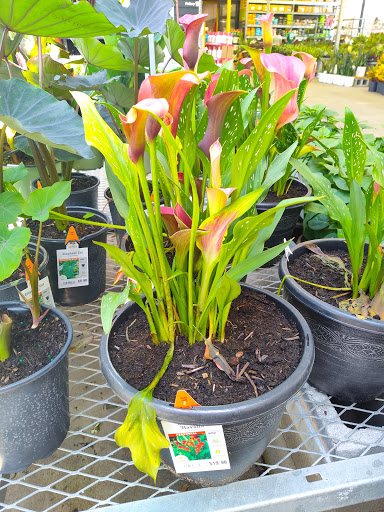 Home Improvement Store «The Home Depot», reviews and photos, 9361 Kingston Pike, Knoxville, TN 37922, USA