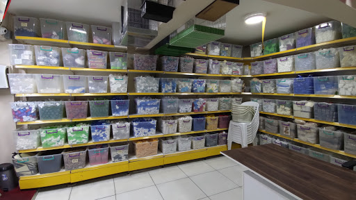 Reptile shops in Istanbul