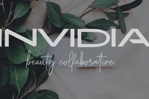 Invidia Beauty Collaborative image