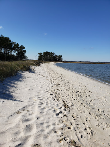 Nature Preserve «James Farm Ecological Preserve», reviews and photos, 30048 Cedar Neck Rd, Ocean View, DE 19970, USA
