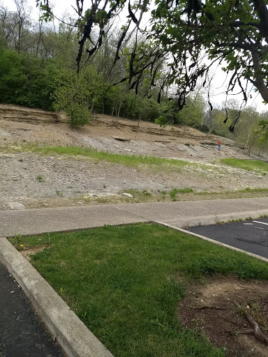 Park «Trammel Fossil Park», reviews and photos, Tramway Dr, Sharonville, OH 45241, USA