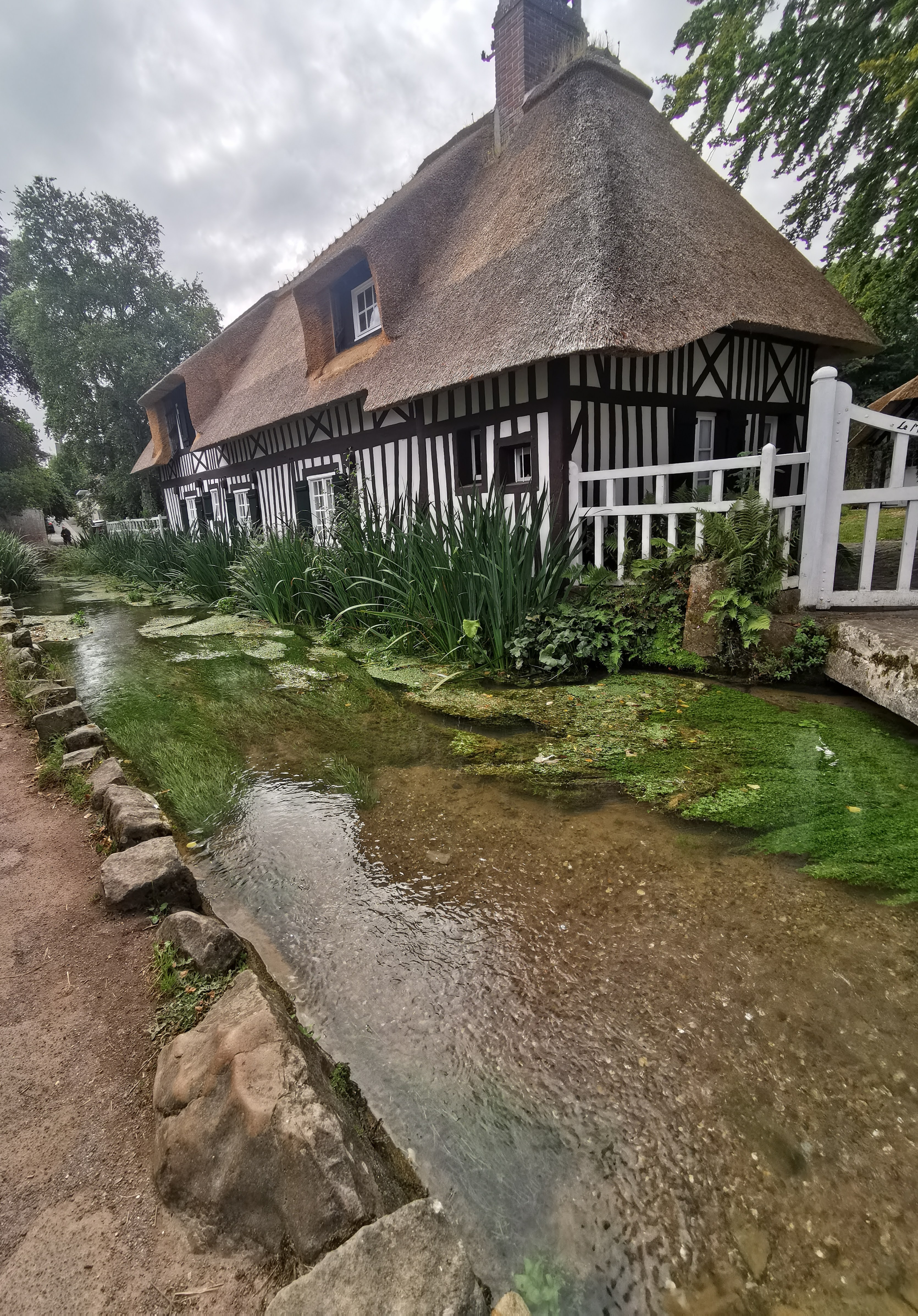 Photo n° 12 de l'avis de Mari.. fait le 31/08/2021 à 16:08