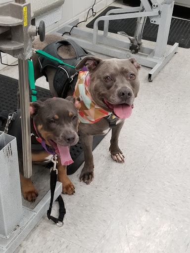 Pet Supply Store «Petco Animal Supplies», reviews and photos, 5481 Lone Tree Way, Brentwood, CA 94513, USA