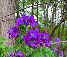 Landschaftspark Wuhletal photo