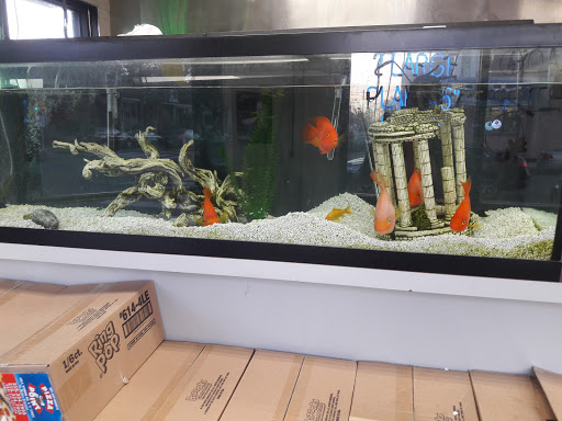 Supermarket «Compare And Save», reviews and photos, 405 E Wyoming Ave, Philadelphia, PA 19120, USA