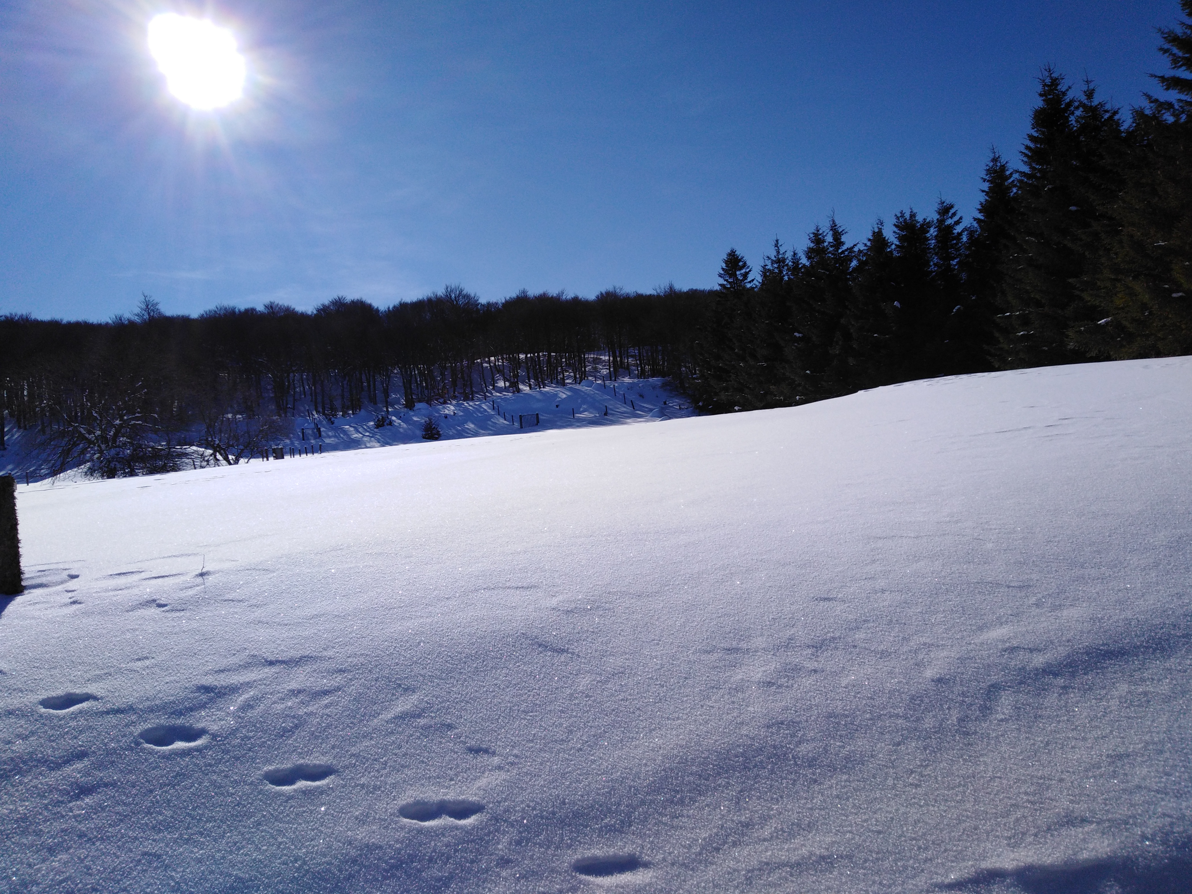 Photo n° 6 de l'avis de L.u fait le 01/03/2019 à 09:48