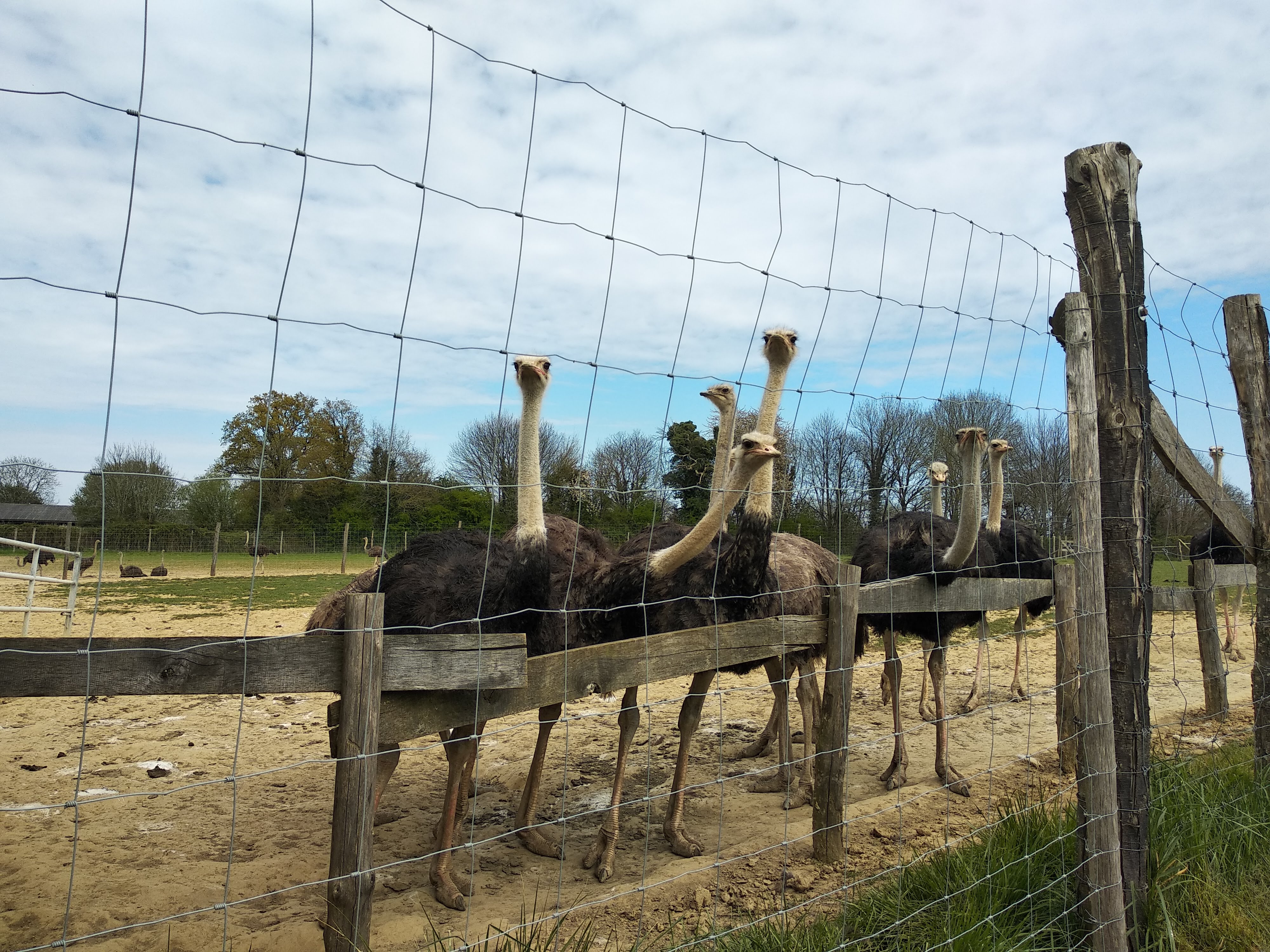Photo n° 5 de l'avis de Corinne.r fait le 20/04/2019 à 14:41