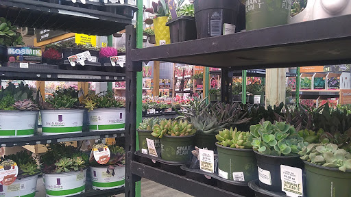 Home Improvement Store «The Home Depot», reviews and photos, 2551 S Interstate Hwy 35, Round Rock, TX 78664, USA