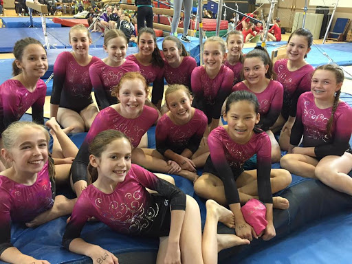 Gymnastics Center «Great Lakes Gymnastics», reviews and photos, 33600 Pin Oak Pkwy, Avon Lake, OH 44012, USA