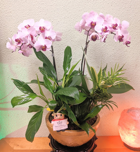 Florist «Edgewood Flowers», reviews and photos, 4927 S Orange Ave, Orlando, FL 32806, USA