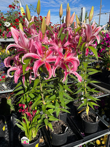 Hardware Store «McLendon Hardware», reviews and photos, 10210 16th Ave SW, Seattle, WA 98146, USA