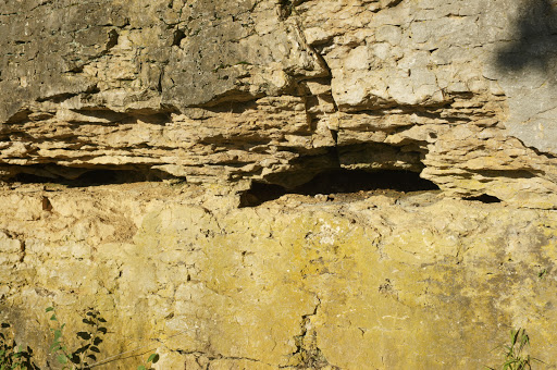 Nature Preserve «GRIGGS RESERVOIR PARK», reviews and photos, 2933 Riverside Dr, Columbus, OH 43221, USA