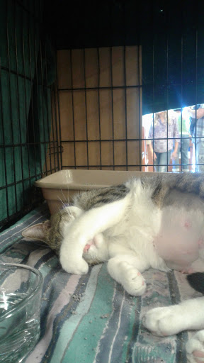 Pet Supply Store «PetSmart», reviews and photos, 5226 S College Rd, Wilmington, NC 28412, USA