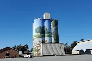 Agriculture Icon Mural, Colquitt, GA image