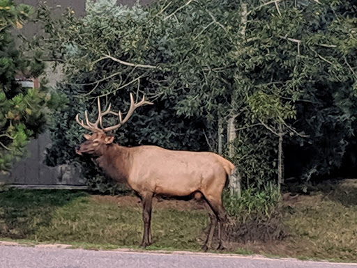 Museum «Hiwan Homestead Museum», reviews and photos, 4208 Timbervale Dr, Evergreen, CO 80439, USA