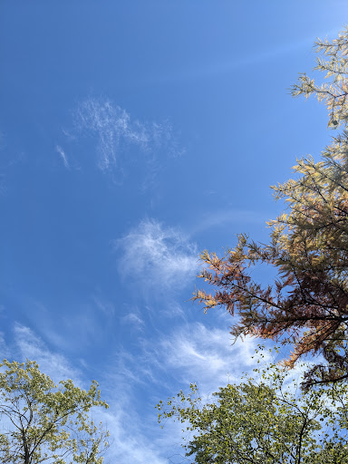 Nature Preserve «Blackwell Forest Preserve», reviews and photos, Butterfield Rd, Warrenville, IL 60555, USA