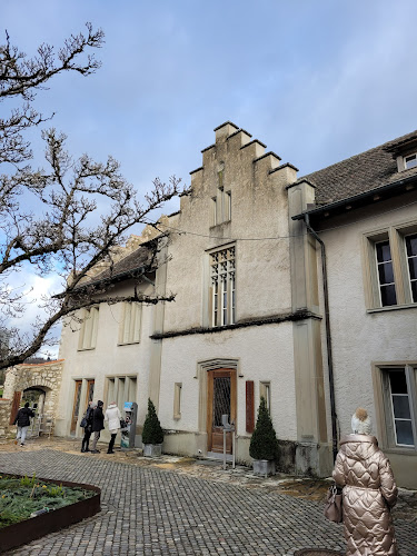 Kommentare und Rezensionen über Neuhausen, Schloss Laufen am Rheinfall