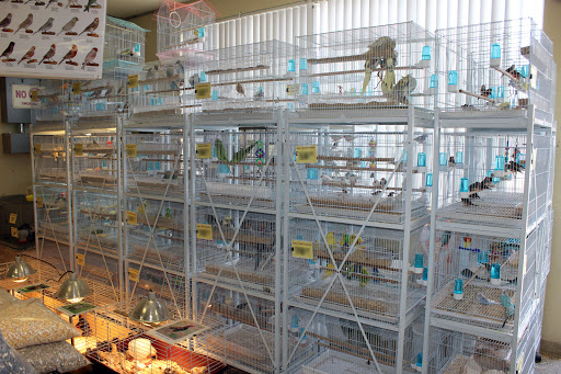 Pet Supply Store «El Granero Feed & Pet Supplies», reviews and photos, 2228 Church Ln, San Pablo, CA 94806, USA