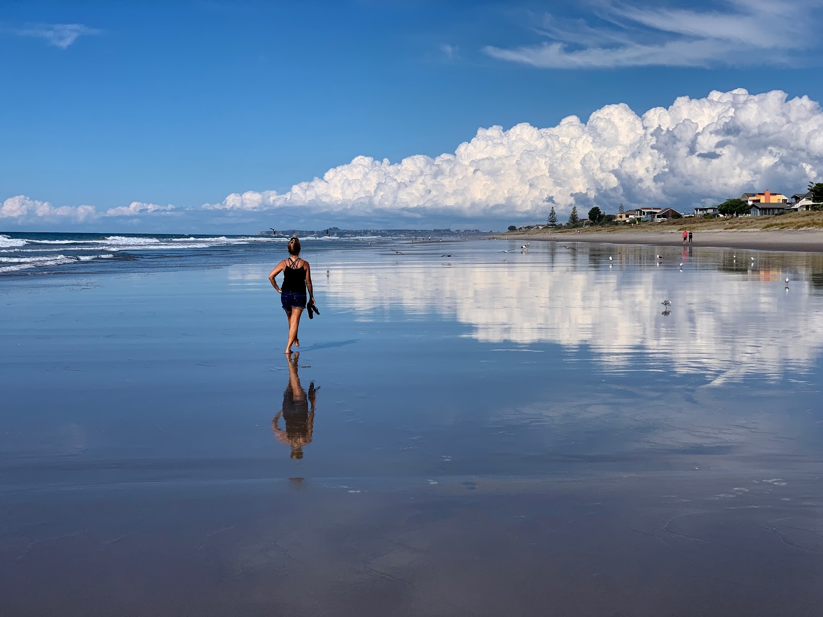 Papamoa Beach的照片 具有非常干净级别的清洁度