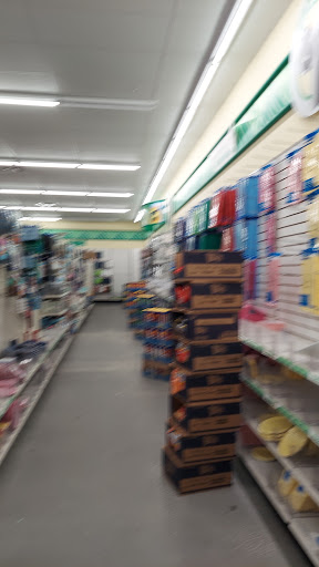 Dollar Store «Dollar Tree», reviews and photos, 3201 Rolling Oaks Blvd, Kissimmee, FL 34747, USA