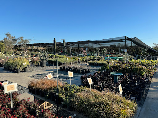 Terra Bella Nursery, Inc. image