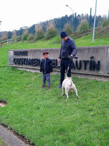 Cancha Los Boldos - Campo de fútbol