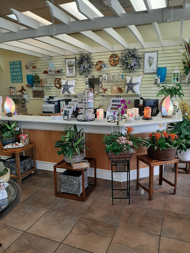 Florist «Buds Blooms & Beyond», reviews and photos, 11234 W Hillsborough Ave, Tampa, FL 33635, USA