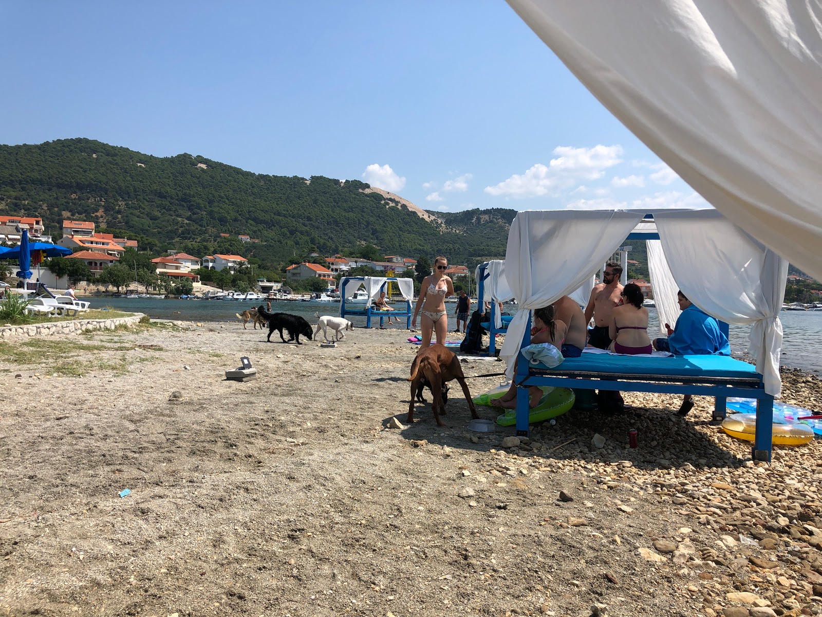 Foto von Monty's Dog Beach - guter haustierfreundlicher Ort für den Urlaub
