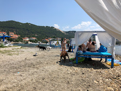 Foto von Monty's Dog Beach - guter haustierfreundlicher Ort für den Urlaub