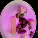 Photo n°2 de l'avis de Vanessa. fait le 13/10/2020 à 07:47 sur le  HENNE. Weinbar à Cologne