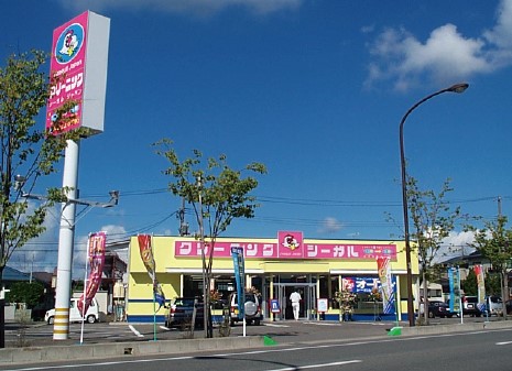 シーガルジャパン 外旭川店