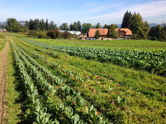 Bio - Stadthofladen - Bioladen