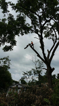 Antietam Tree & Turf - Photo 2 - Car repair in Hagerstown, MD, Hagerstown