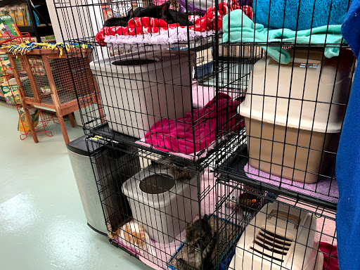Pet Store «Wet Pets N Critters», reviews and photos, 103 TX-281 Loop, Longview, TX 75605, USA