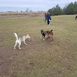 Barrie Dog Off Leash Recreation Area