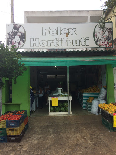 Logo da empresa - Felex Horti Fruti