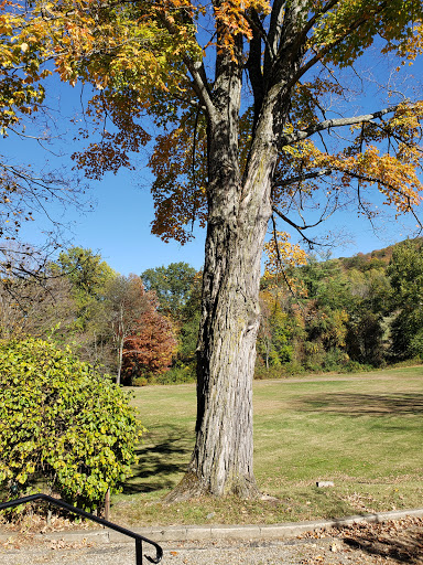 Vineyard «Torne Valley Vineyard», reviews and photos, 1 Torne Valley Rd, Hillburn, NY 10931, USA