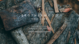 Brotherwood Tree Care