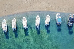 Jupiter Pointe Club and Marina image