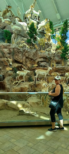 Sporting Goods Store «SCHEELS», reviews and photos, 1200 Scheels Drive, Sparks, NV 89434, USA