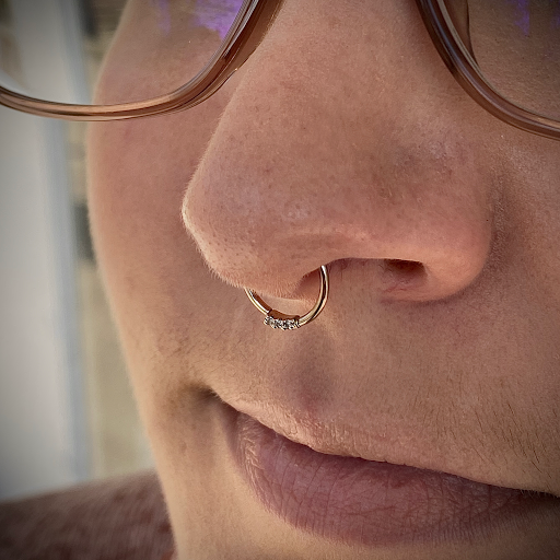Explore lady and the tramp tattoo ideas, creative tattoo ideas in Roanoke, available at Sati Piercing & Fine Jewelry