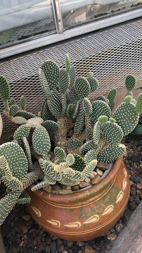 Gift Shop «Meijer Gardens Gift Shop», reviews and photos, 1000 E Beltline Ave NE, Grand Rapids, MI 49525, USA