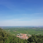 Photo n°19 de l'avis de Volker.c fait le 31/01/2020 à 17:10 sur le  Höhengaststätte Rietburg à Edenkoben