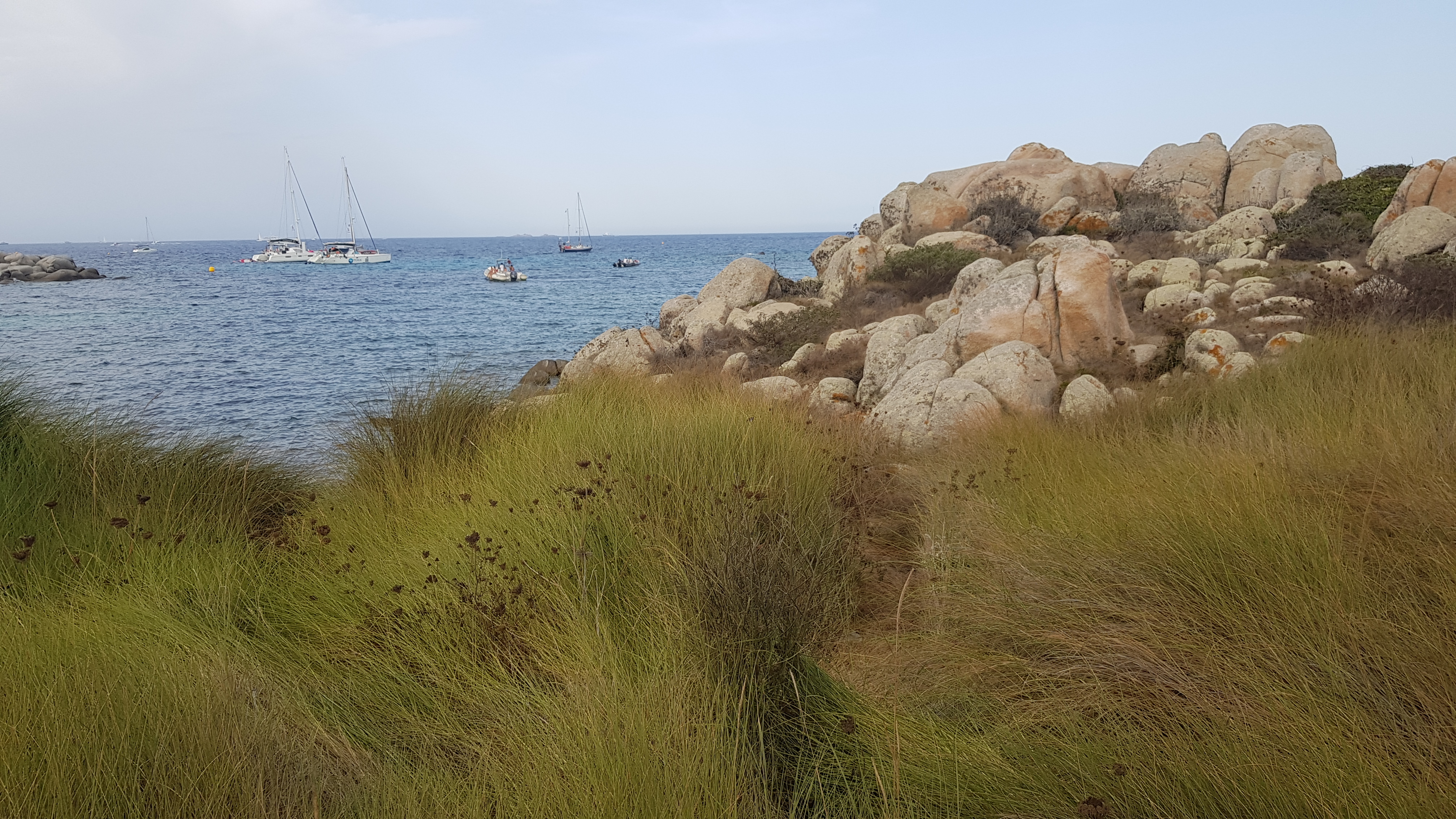 Photo n° 7 de l'avis de Carine. fait le 10/08/2017 à 16:51