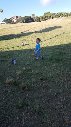 Amphitheater «Cole Park Amphitheater», reviews and photos, 1526 Ocean Dr, Corpus Christi, TX 78404, USA