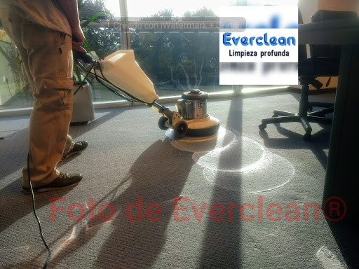 Everclean Limpieza Colchones Alfombras Sillones con Vapor a domicilio